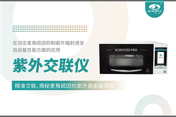 紫外交聯(lián)儀在麥角硫因研究中的創(chuàng)新應用