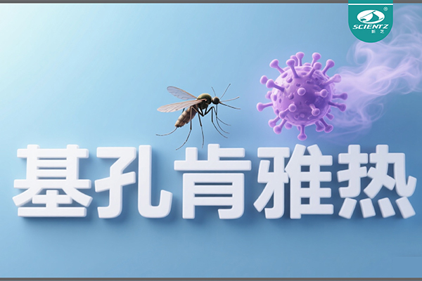 基孔肯雅熱疫情升級！新芝生物硬核技術助力病毒精準診斷