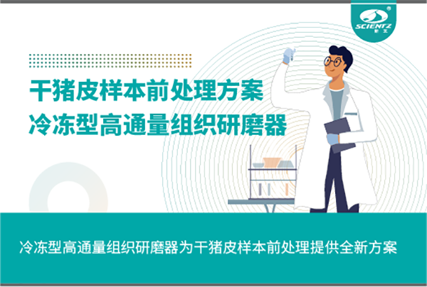 冷凍型高通量組織研磨器為干豬皮樣本前處理提供全新方案