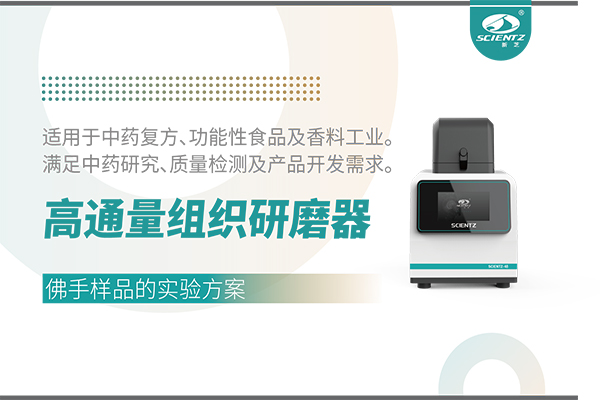 高通量組織研磨器處理佛手樣品的實驗方案